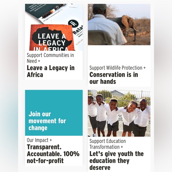 African Beaded Bracelet, Handmade in S. Africa to Support Endangered Wild Dogs - Picture 8 of 13